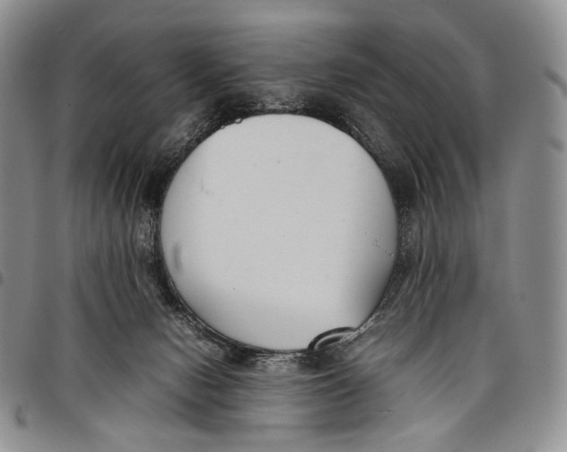 X0000097980078200804141127