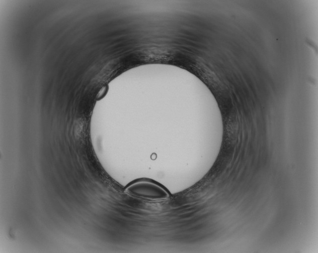 X0000097980079200804141127