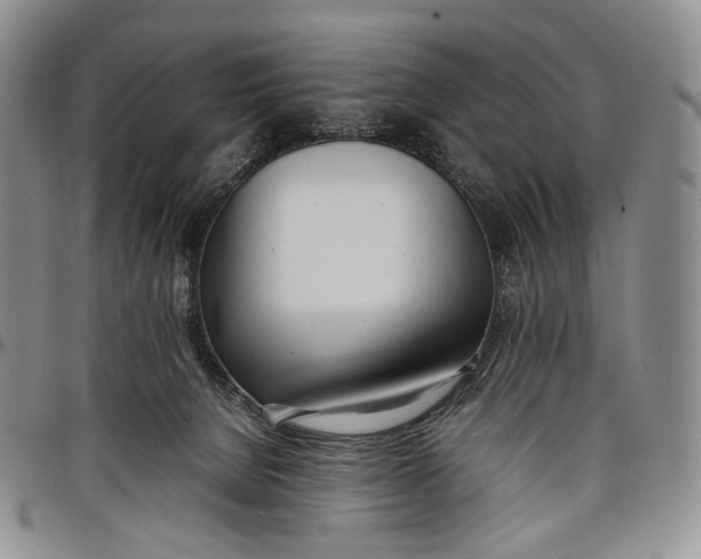 X0000097980080200804141127