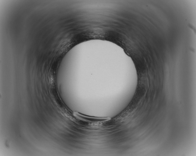 X0000097980084200804141127