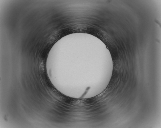 X0000097980086200804141127