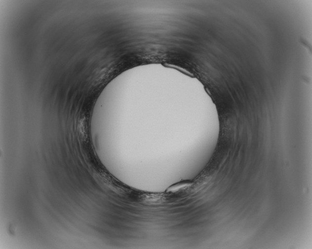 X0000097980088200804141127