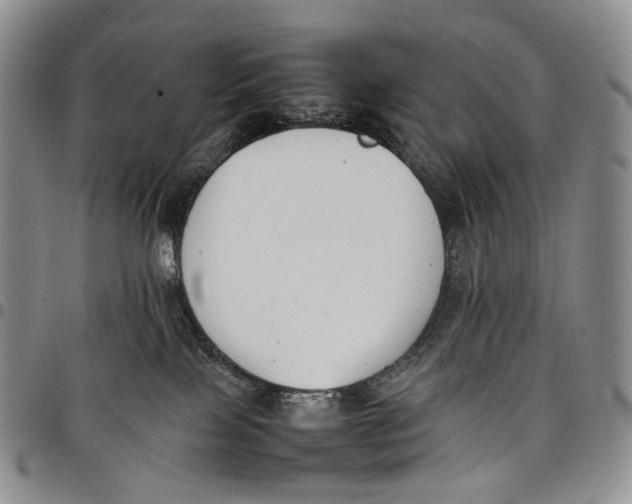 X0000097980089200804141127