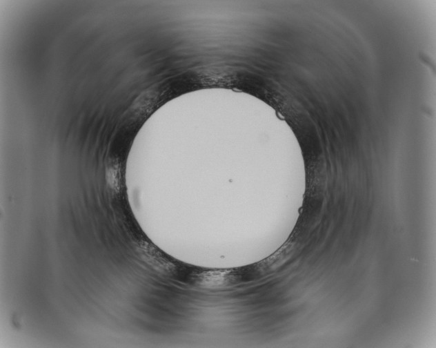 X0000097980090200804141127