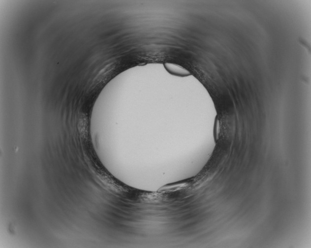 X0000097980092200804141128