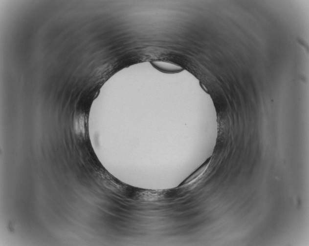 X0000097980094200804141128