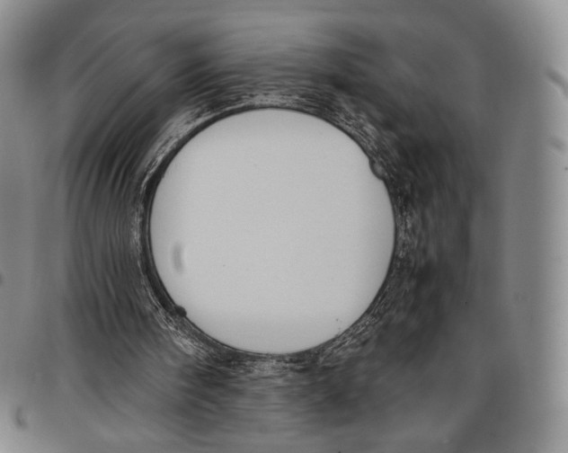 X0000097980098200804141127