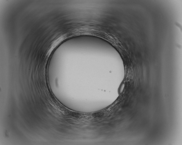 X0000097980099200804141127