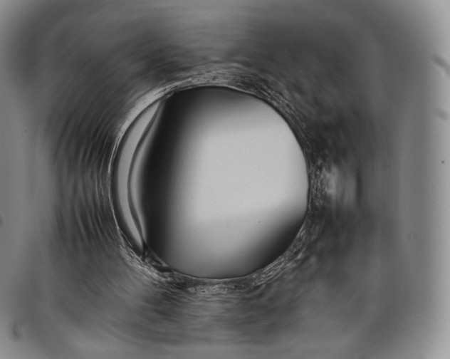 X0000097980100200804141127