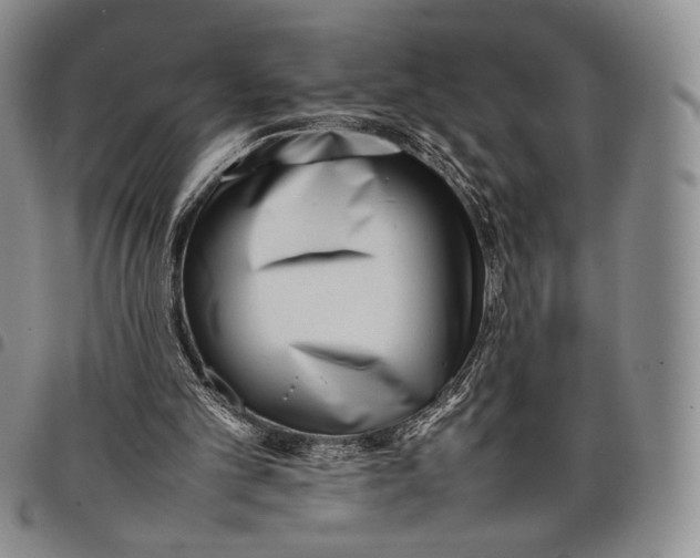 X0000097980101200804141127