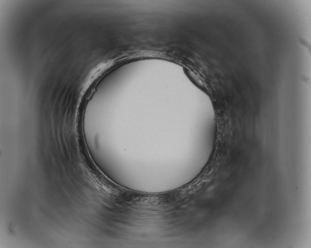 X0000097980104200804141127