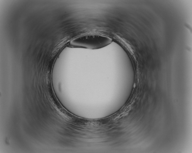 X0000097980105200804141127