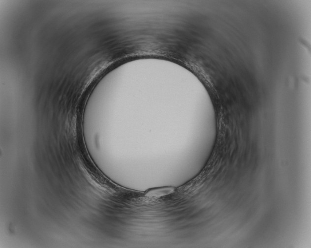 X0000097980108200804141127