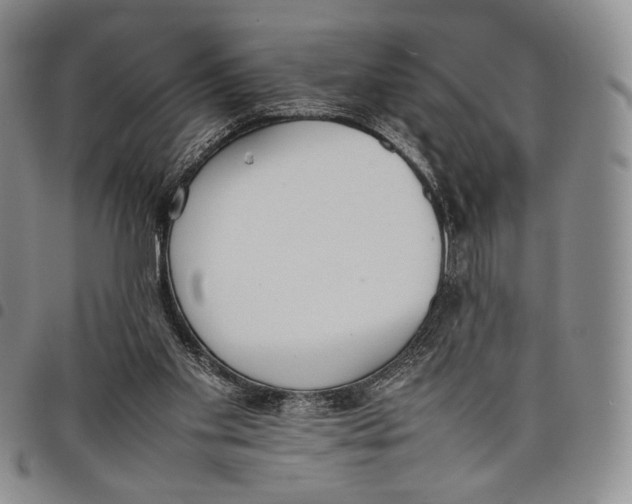 X0000097980109200804141127