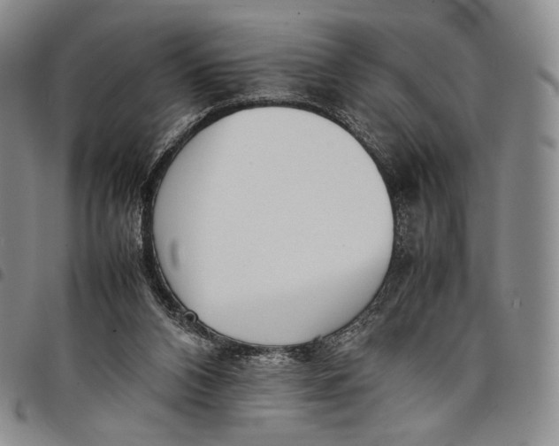 X0000097980112200804141127