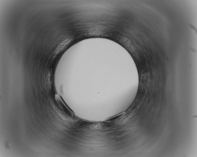 X0000097980116200804141126