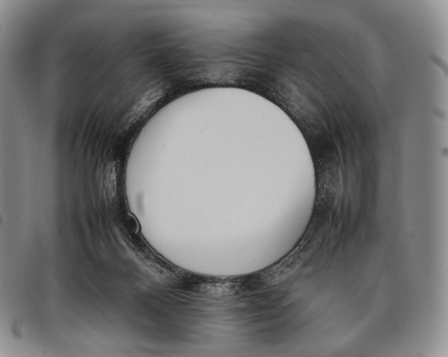 X0000097980120200804141126