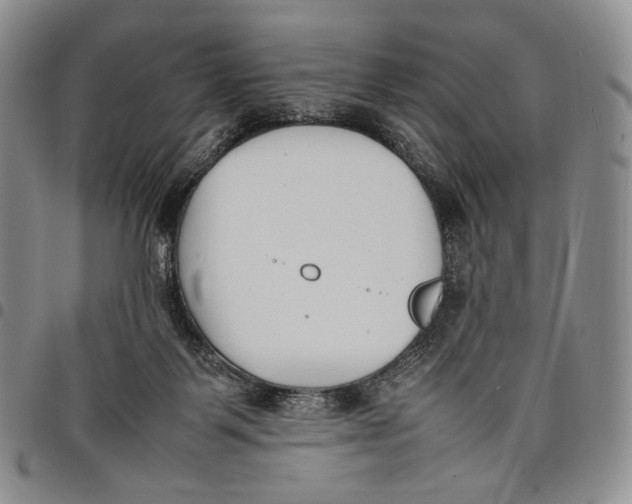 X0000097980123200804141126