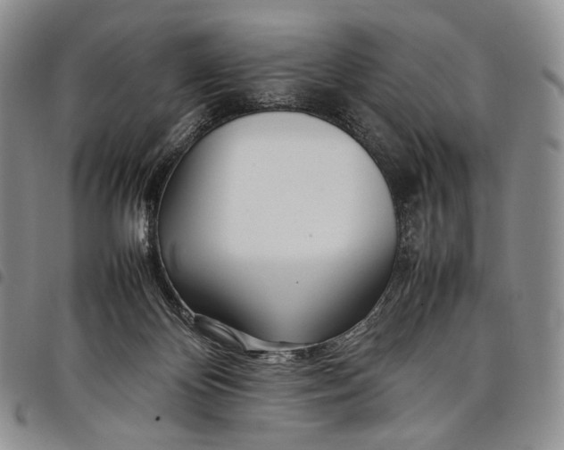 X0000097980124200804141126