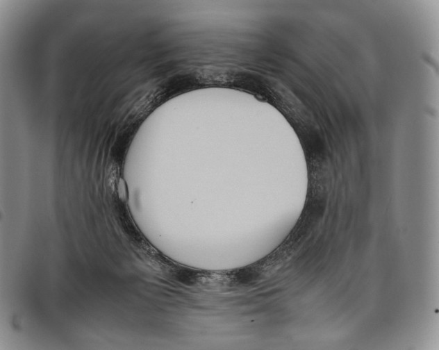 X0000097980125200804141126