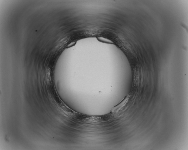 X0000097980128200804141126