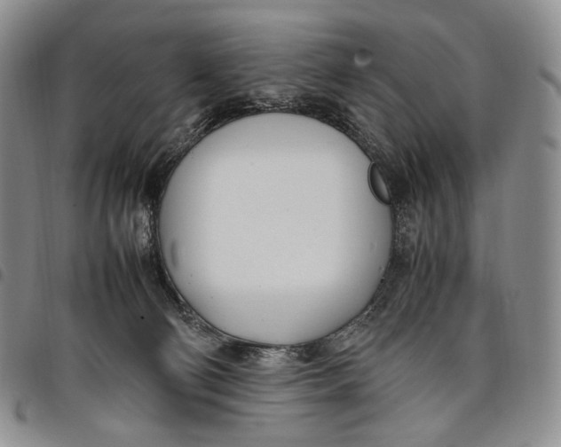 X0000097980130200804141126