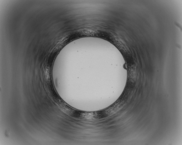 X0000097980131200804141126