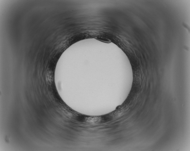 X0000097980135200804141126