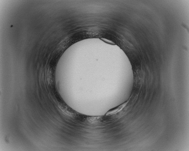 X0000097980136200804141126