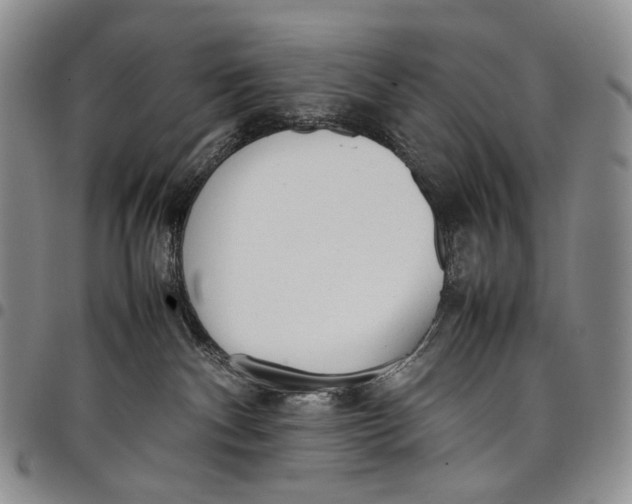 X0000097980140200804141126