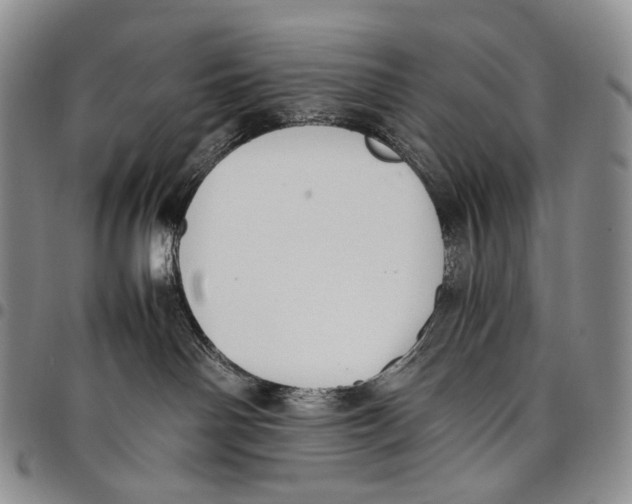 X0000097980142200804141126