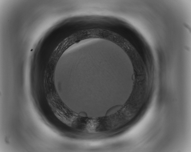 X0000097980143200804141126