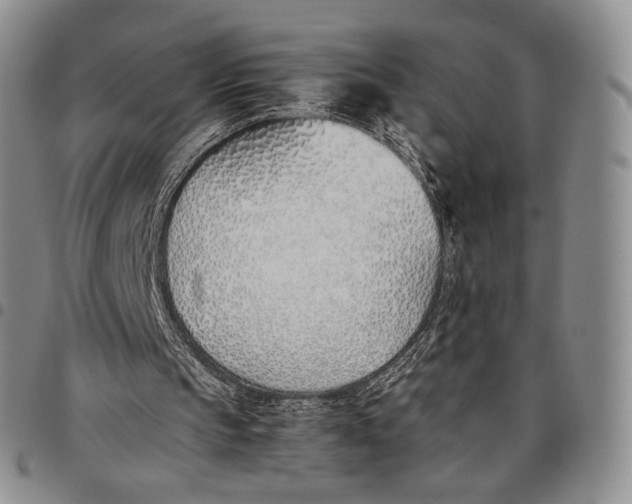 X0000097980145200804141125