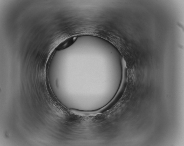 X0000097980148200804141125