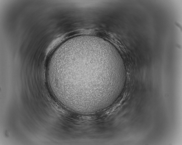 X0000097980149200804141125