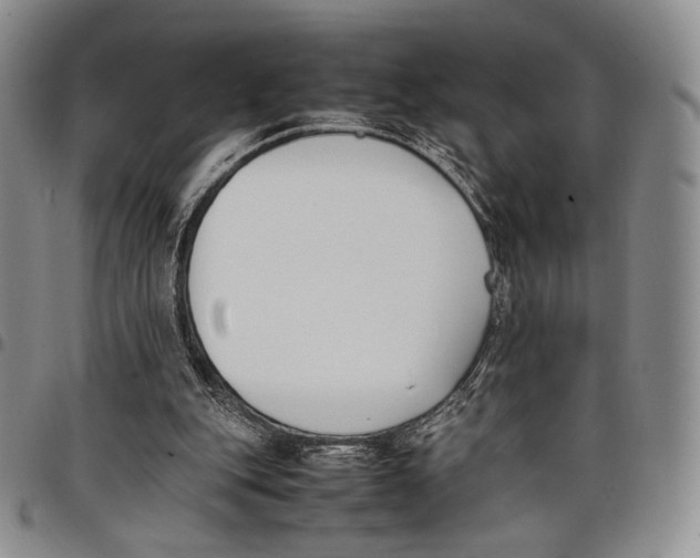 X0000097980151200804141125