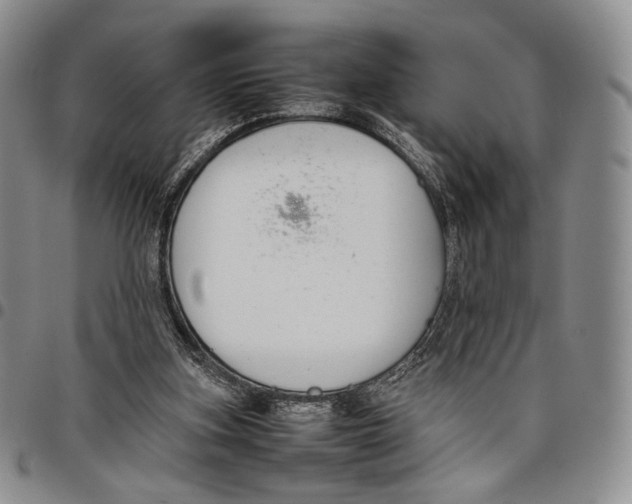 X0000097980155200804141126