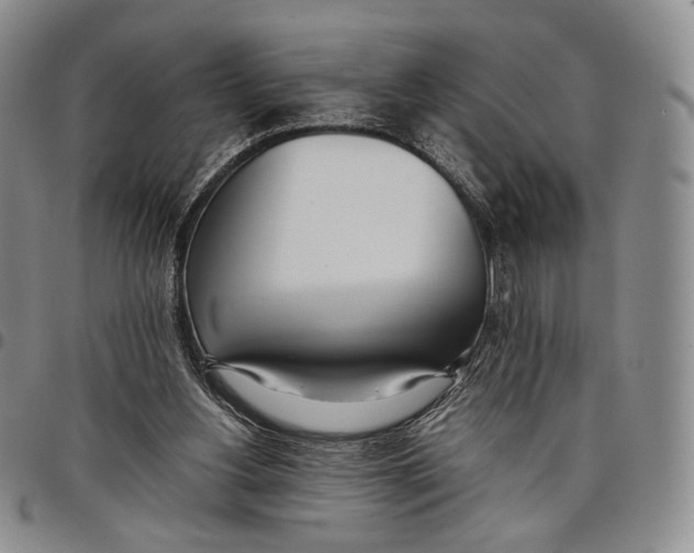 X0000097980156200804141126