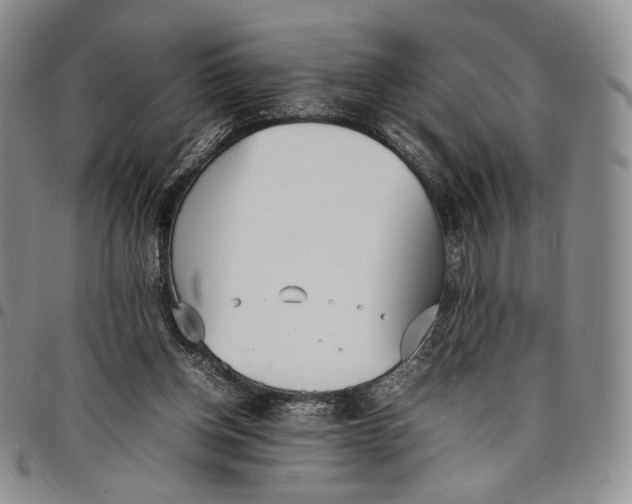 X0000097980158200804141126