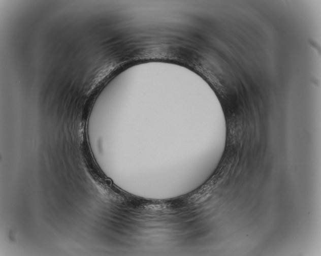 X0000097980160200804141126