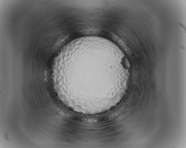 X0000097980161200804141126