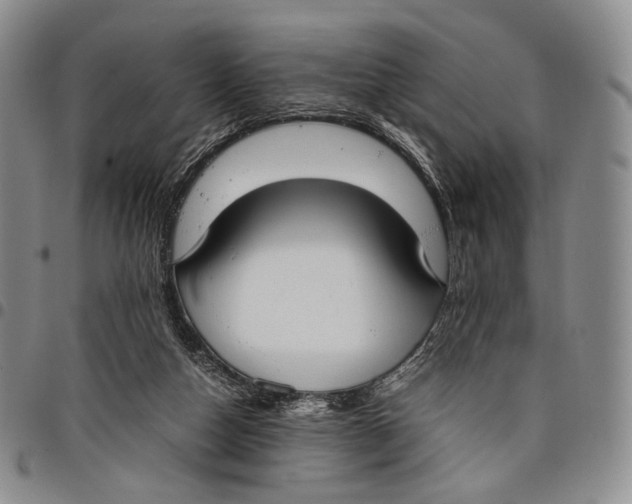 X0000097980162200804141126