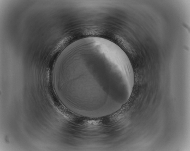 X0000097980163200804141126