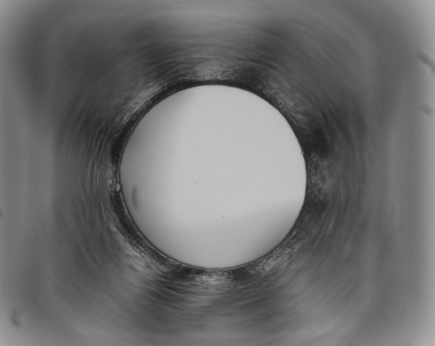 X0000097980164200804141126