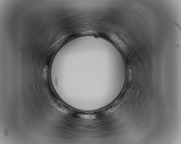 X0000097980165200804141126