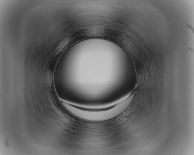 X0000097980168200804141126