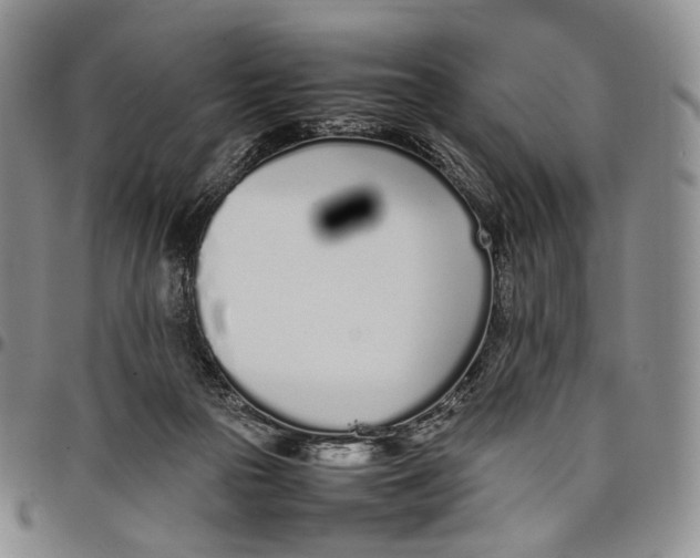 X0000097980169200804141126