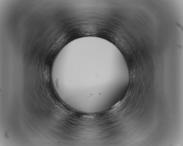 X0000097980170200804141126