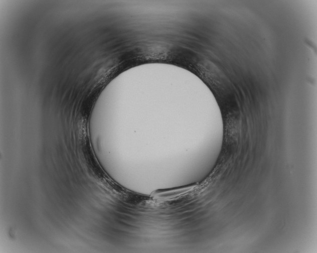 X0000097980172200804141126