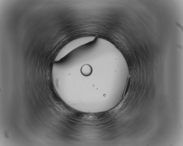 X0000097980174200804141126